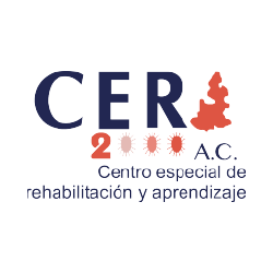 CERA: Con la participación de su equipo de psicólogas, se creó el contenido pedagógico del videojuego para niños con parálisis cerebral “Learny PCI”.